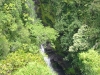Akaka Falls State Park 03